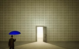 Image of backdoor